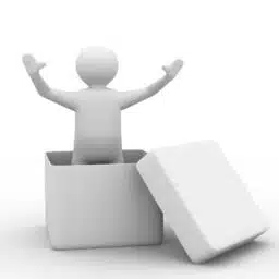 Uncap Your Team's Potential: Identifying the Lid on Leadership