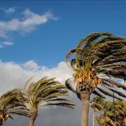ID Badges for Hurricane Season