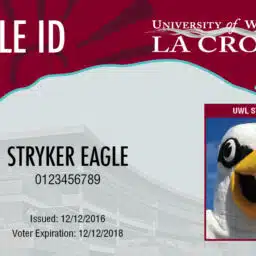 ID Cards