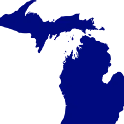 Municipal ID Cards Approved by Detroit Council